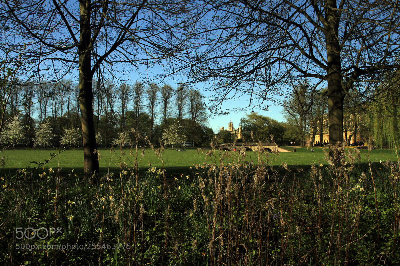 Canon EOS 7D sample photo. Cambridge & the colleges photography