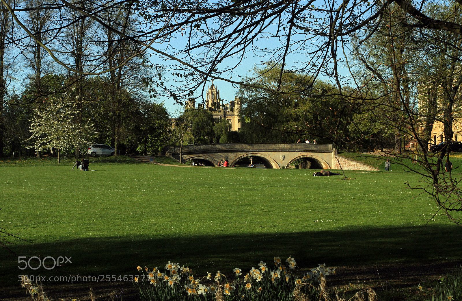 Canon EOS 7D sample photo. Cambridge & the colleges photography