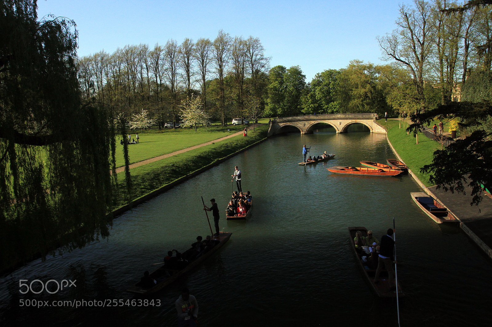 Canon EOS 7D sample photo. Cambridge & the colleges photography