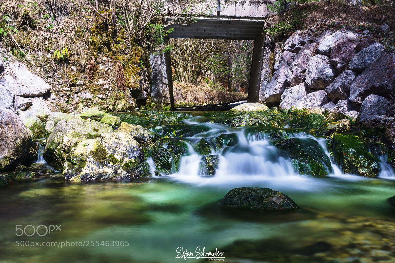 Sony ILCA-77M2 sample photo. Nature @ steyrertal photography