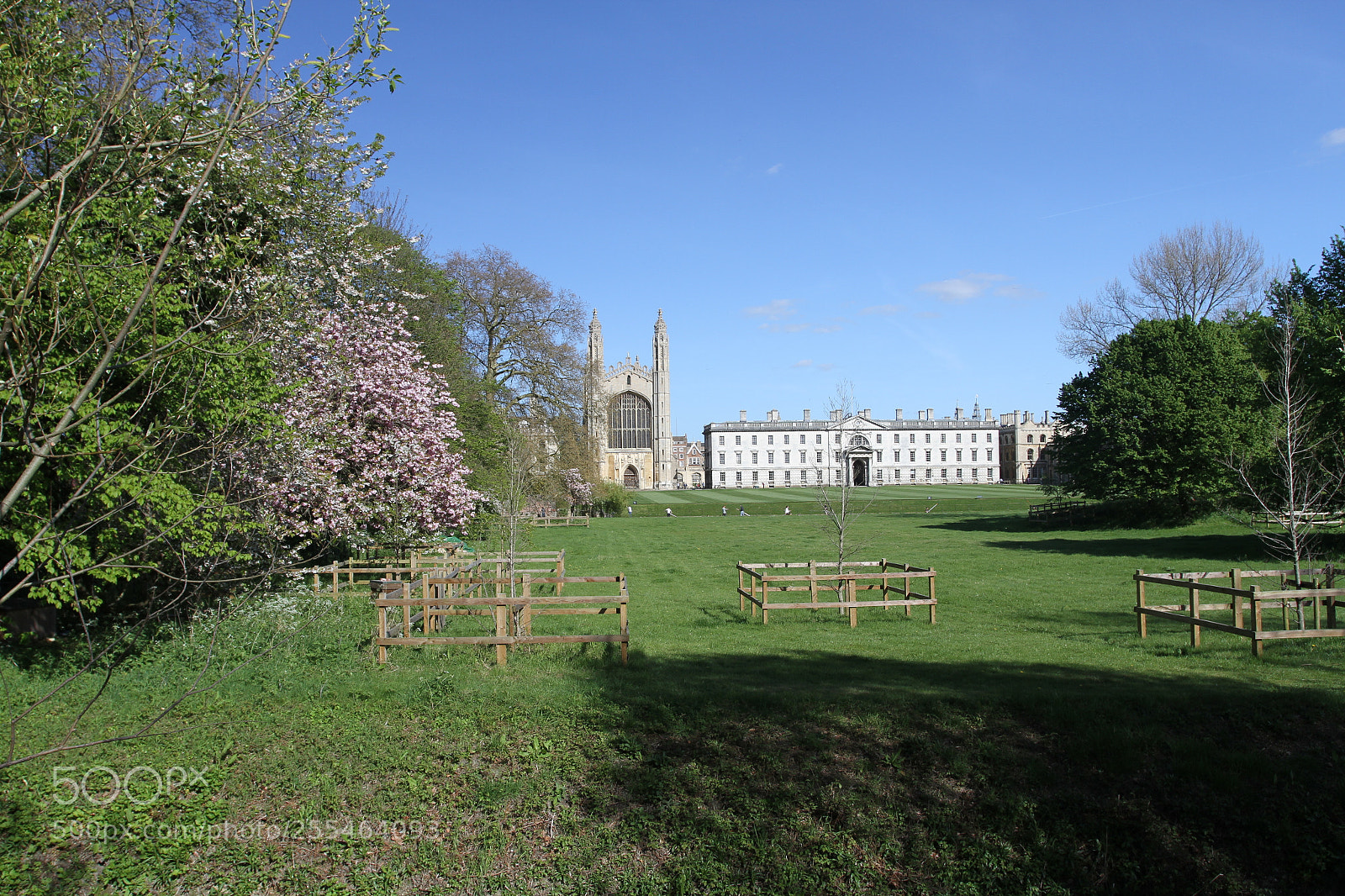 Canon EOS 7D sample photo. Cambridge & the colleges photography
