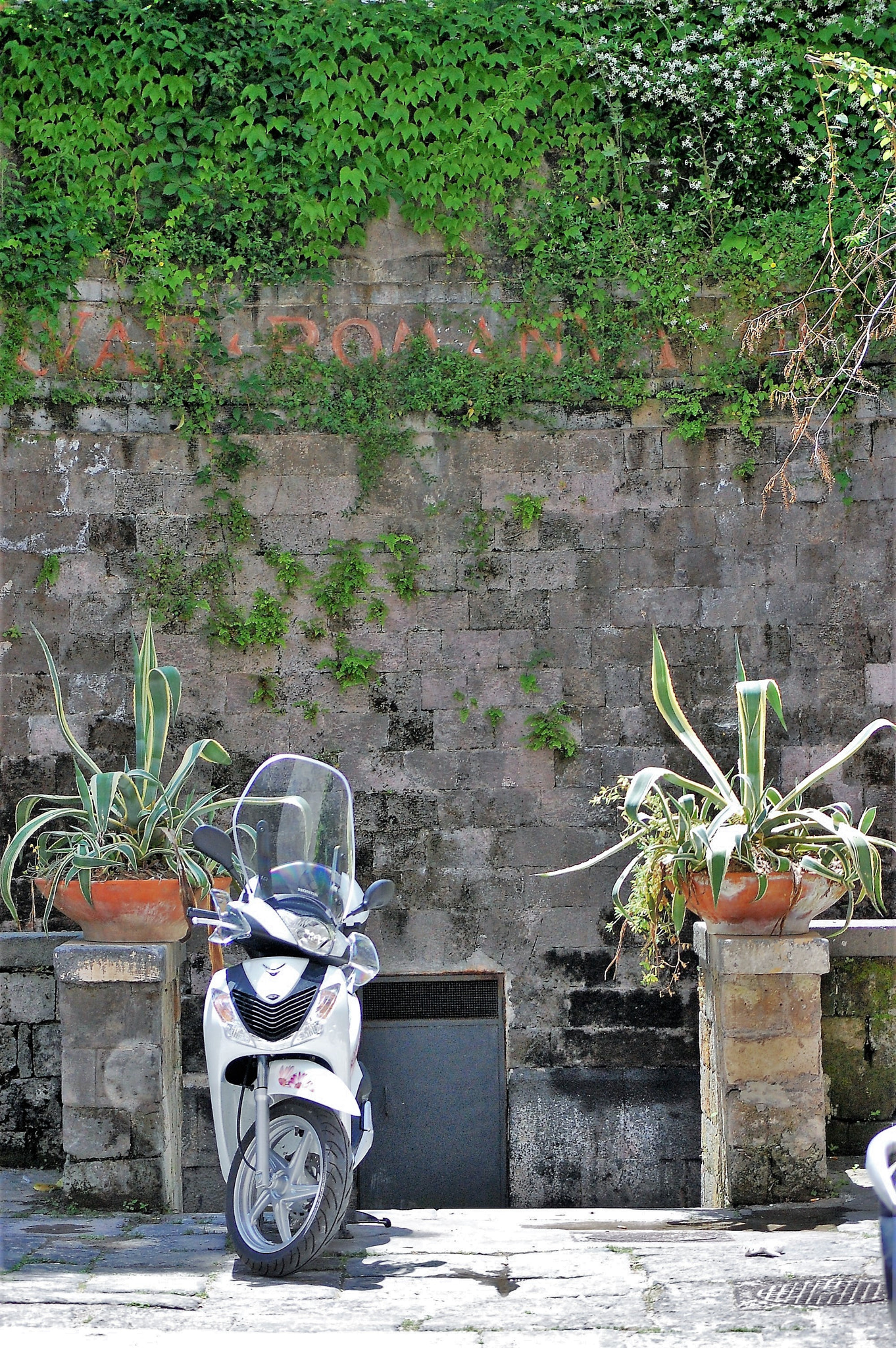 Nikon D40 sample photo. Scooter parking in sorrento photography
