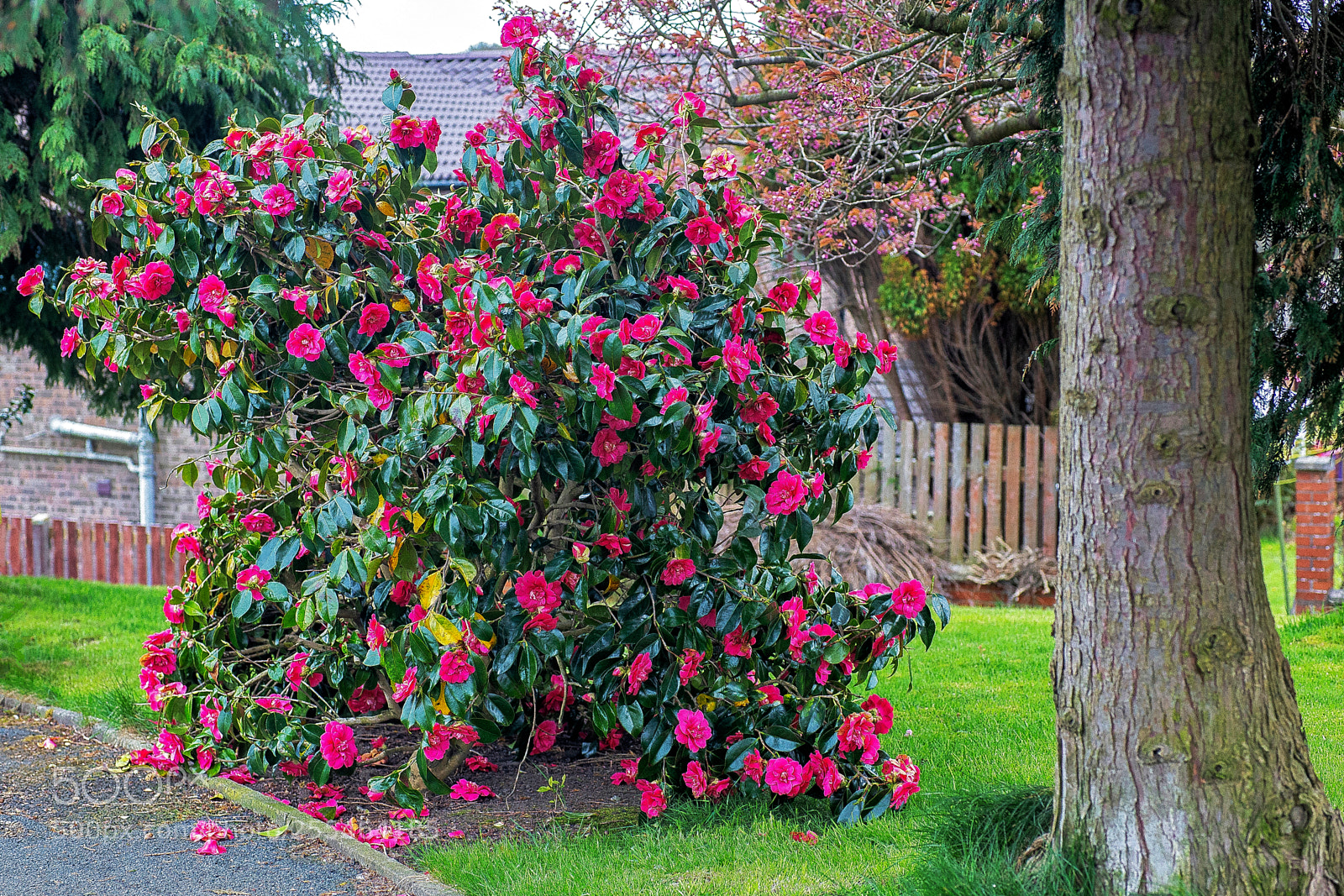 Canon EOS 6D sample photo. Different angle photography