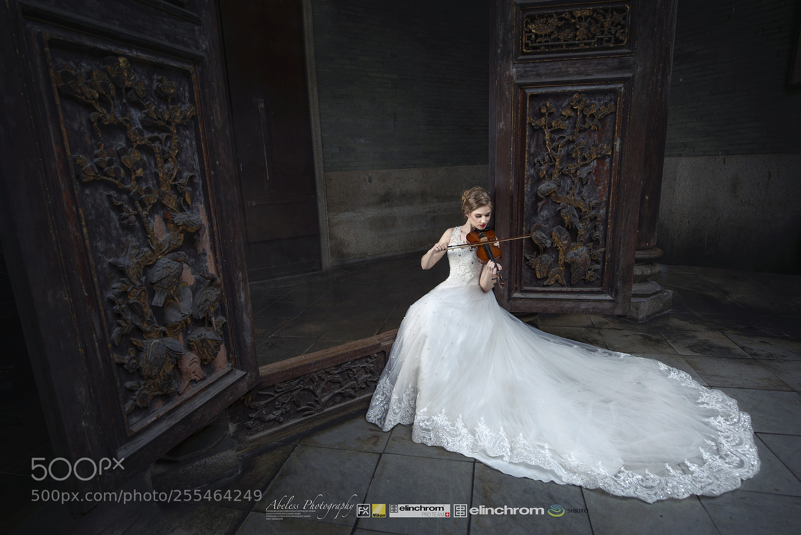 Nikon D750 sample photo. Violin girl photography