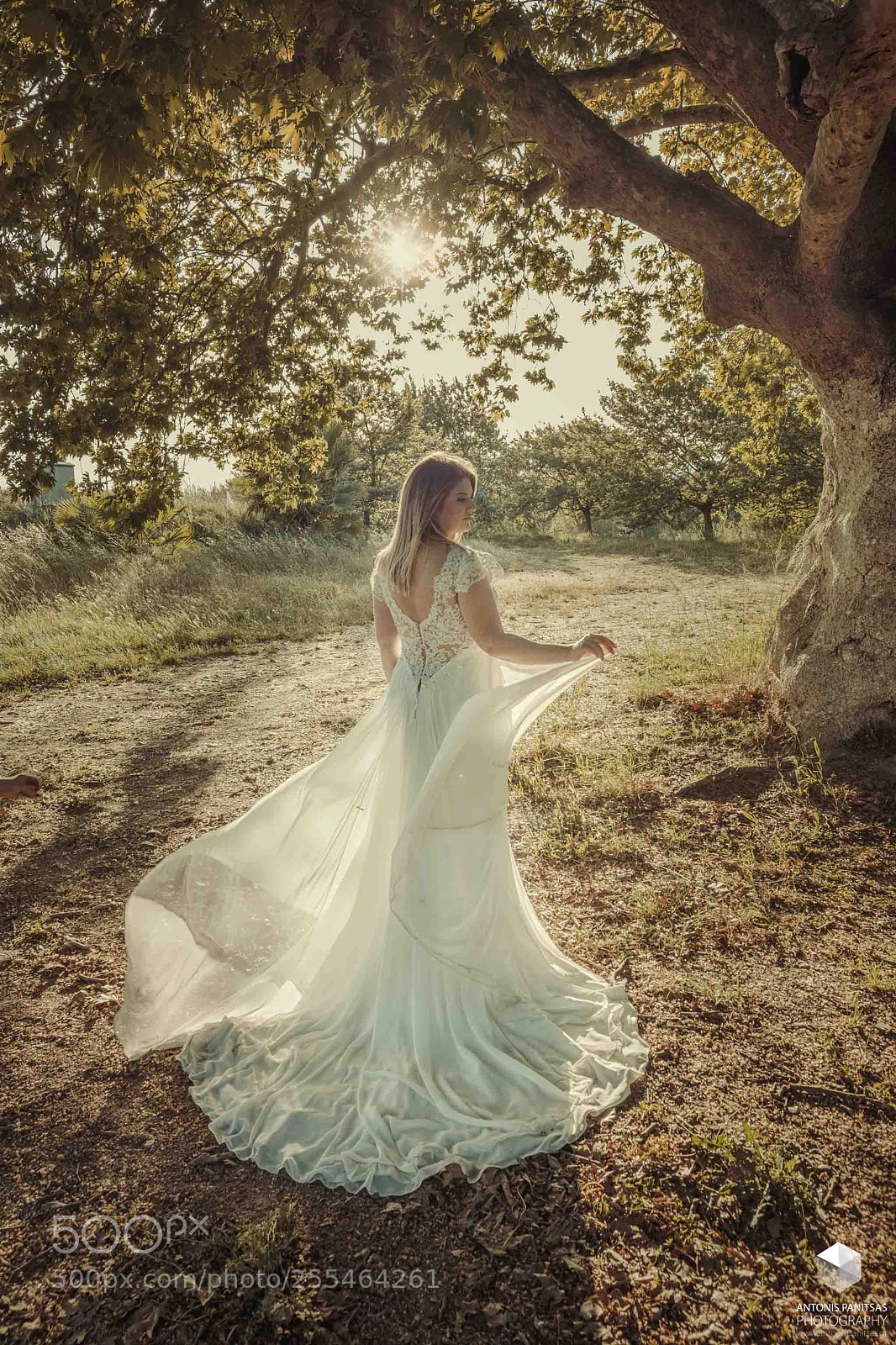 Fujifilm X-Pro2 sample photo. A fairy photography