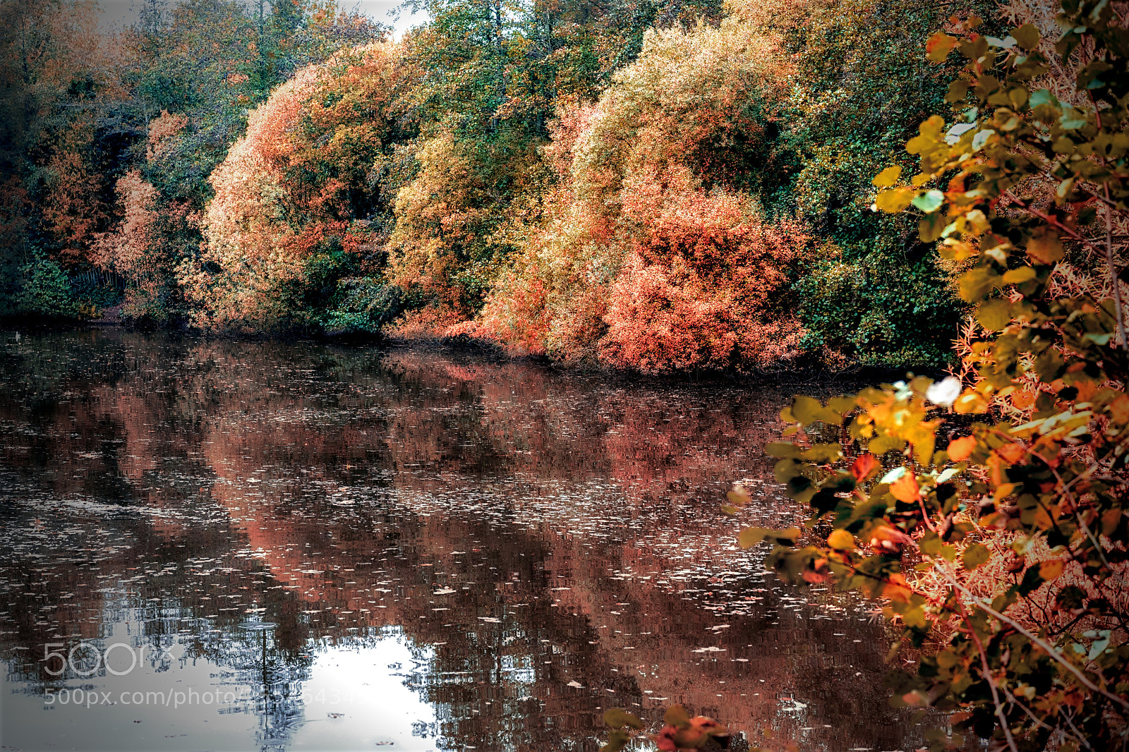Sony a6000 sample photo. Trees and water photography