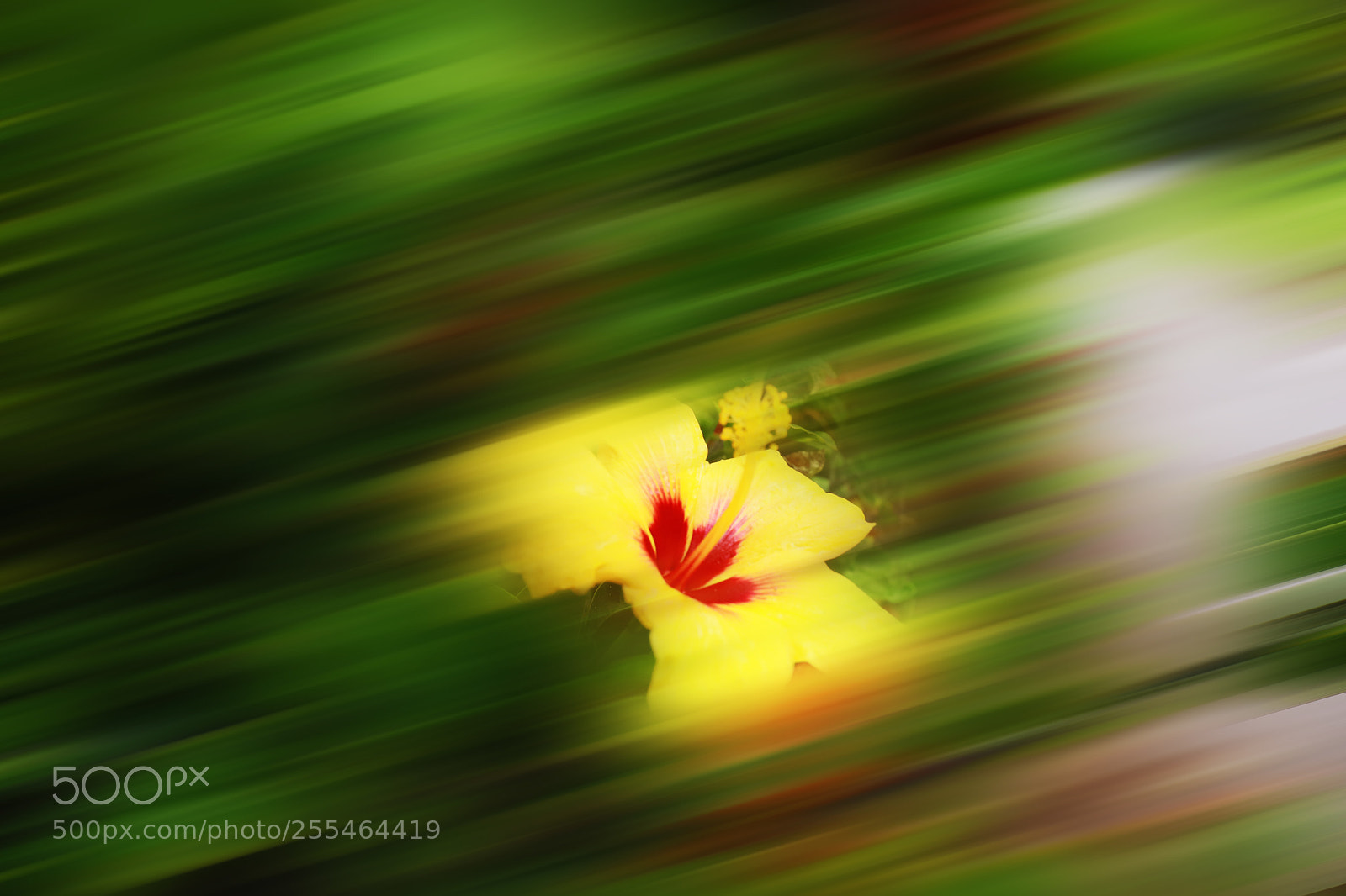 Canon EOS 5D Mark IV sample photo. Untitled photography