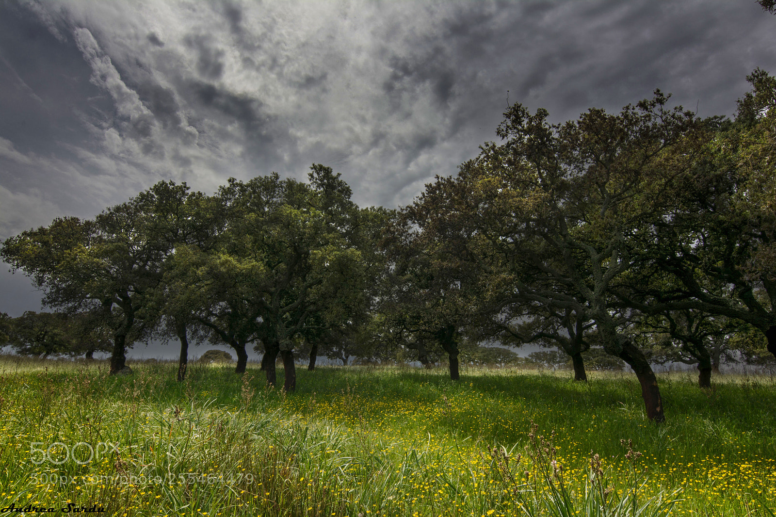 Nikon D7100 sample photo. Sardinia photography