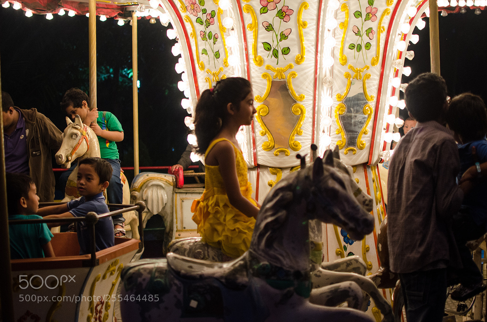 Nikon D5100 sample photo. Carousel photography
