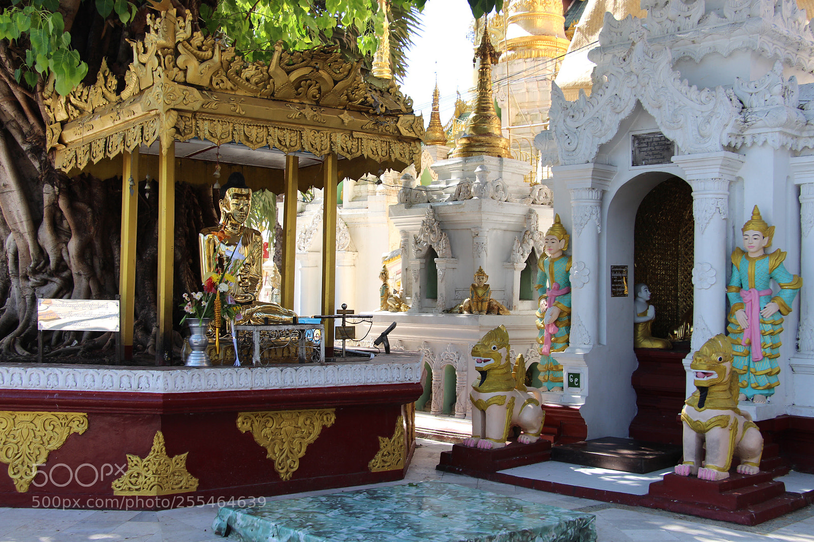 Canon EOS 700D (EOS Rebel T5i / EOS Kiss X7i) sample photo. Bodhi tree in shwedagon photography
