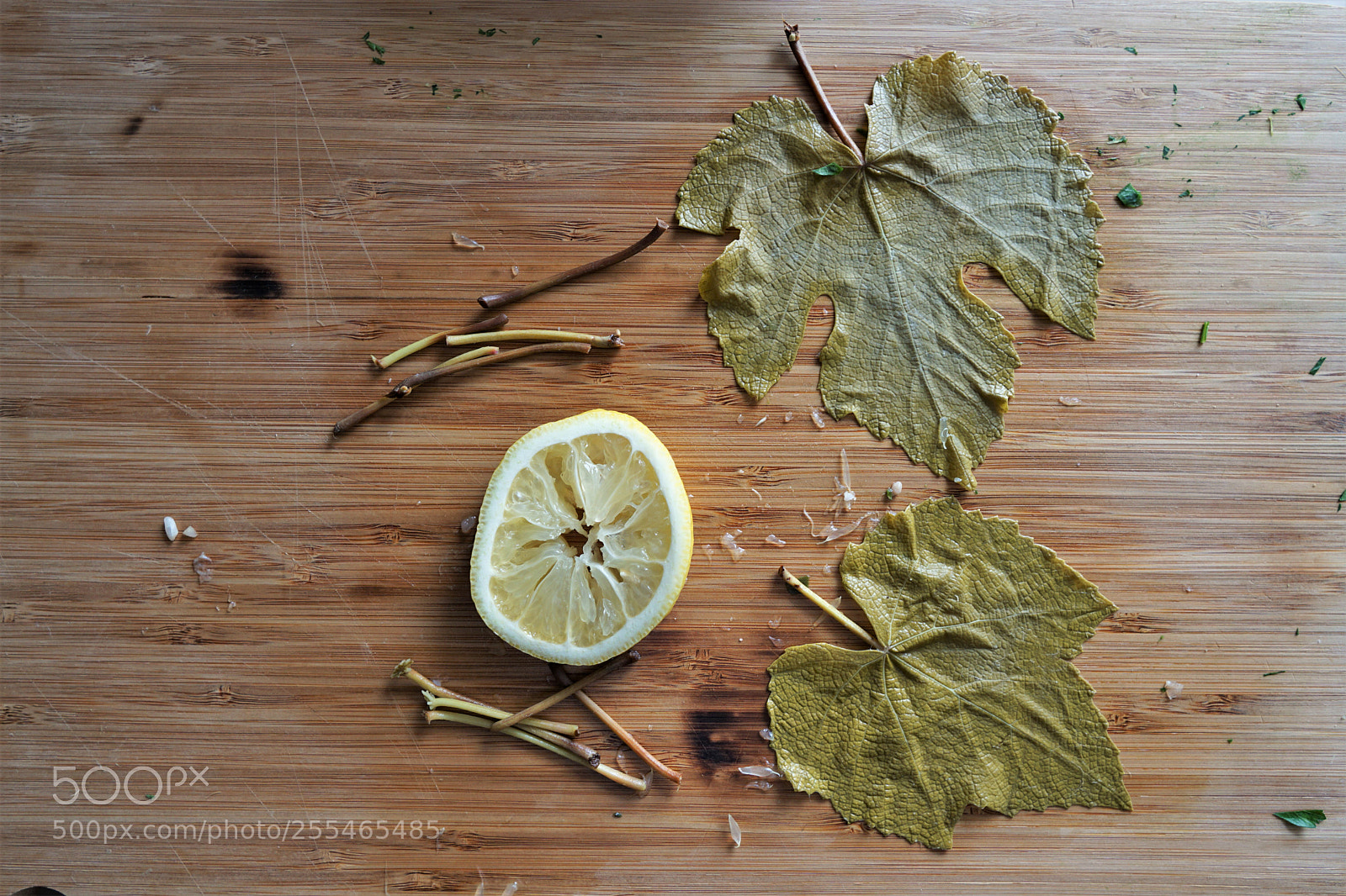 Sony a6000 sample photo. Bay leaves photography