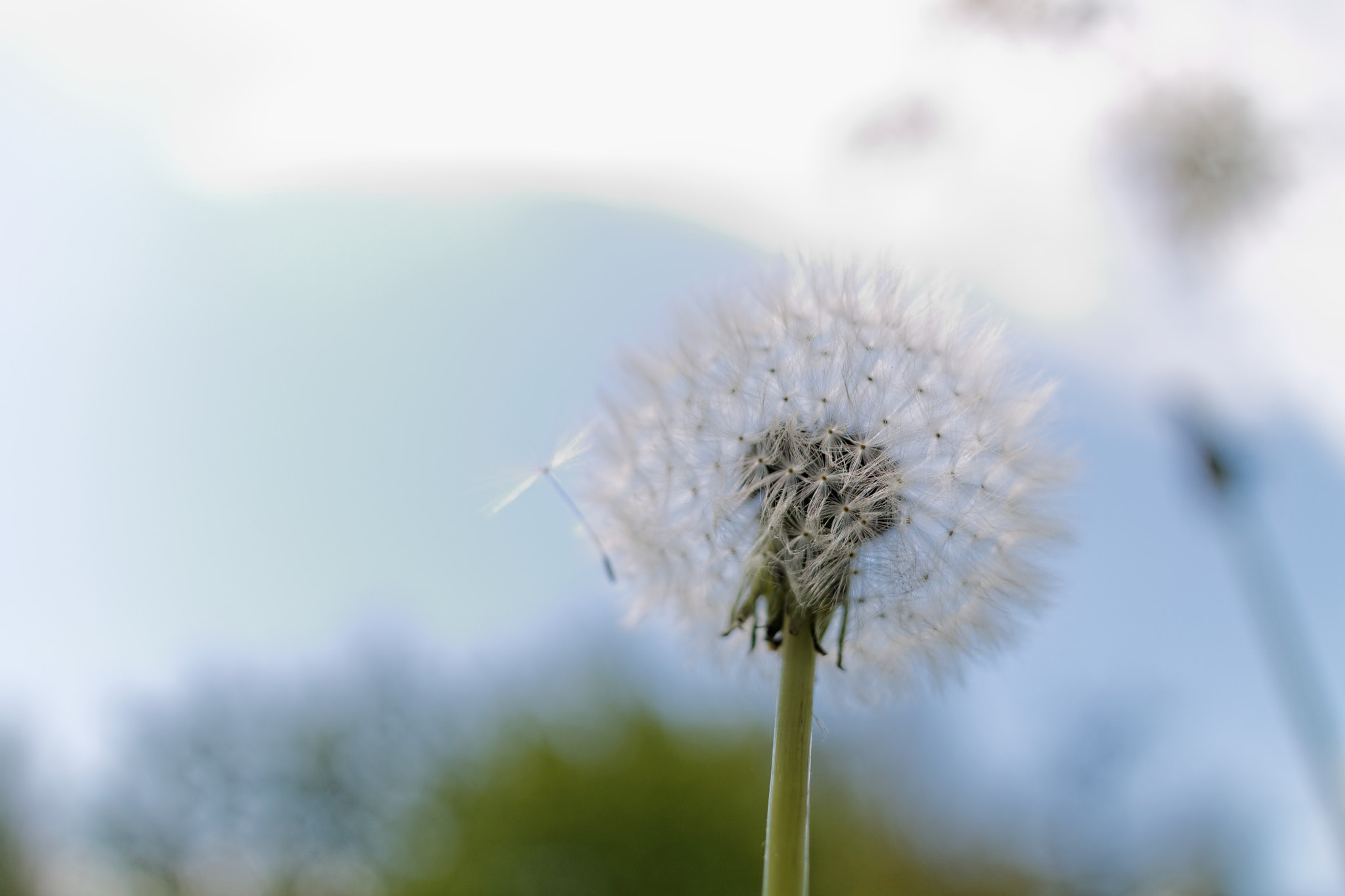 Canon EF-S 24mm F2.8 STM sample photo