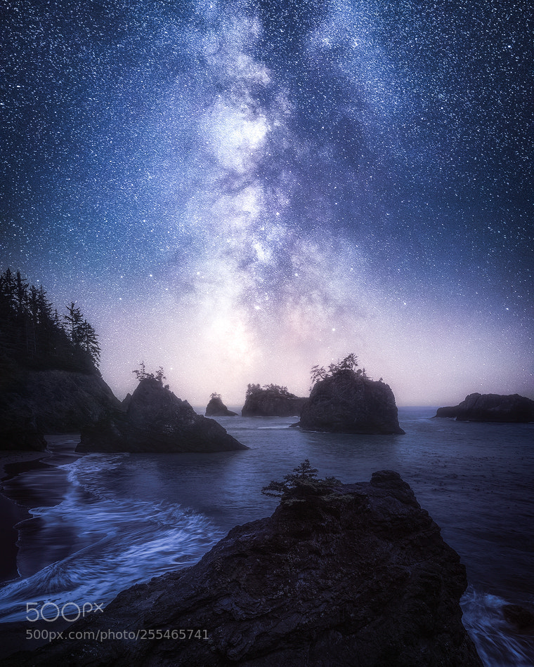 Canon EOS 5D Mark IV sample photo. Secret beach milky way photography