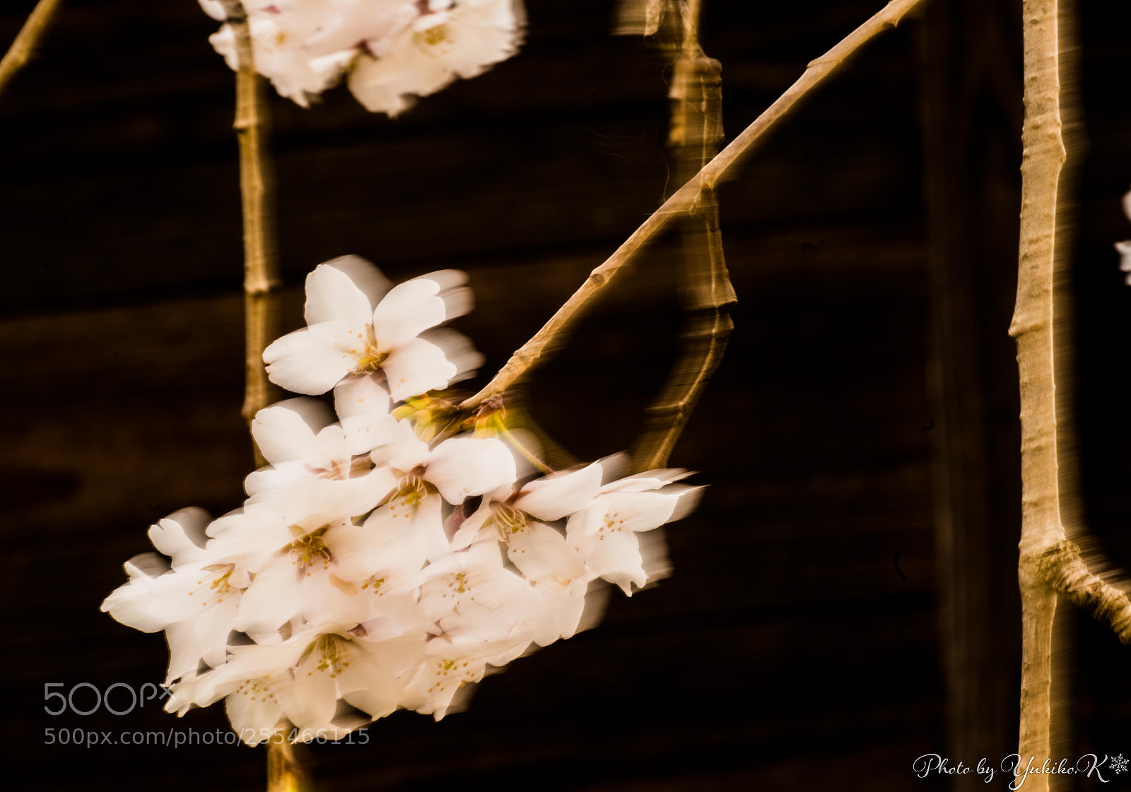 Pentax K-S2 sample photo. Wind photography