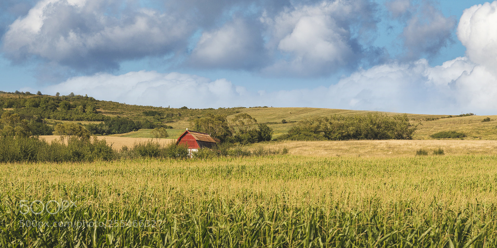 Nikon D610 sample photo. Romanian countryside photography