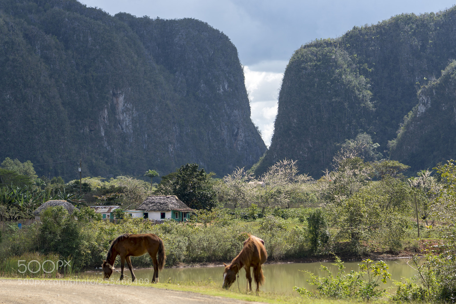 Sony a6500 sample photo. Viñales countryside photography