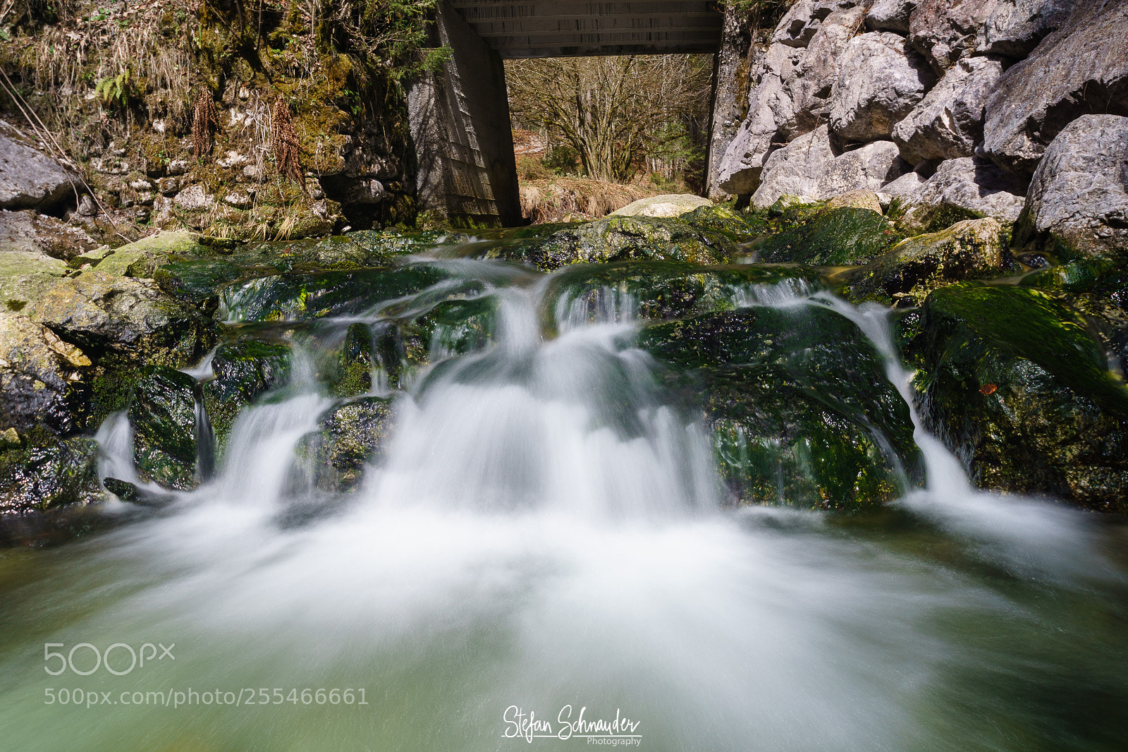 Sony ILCA-77M2 sample photo. Nature @ steyrertal photography