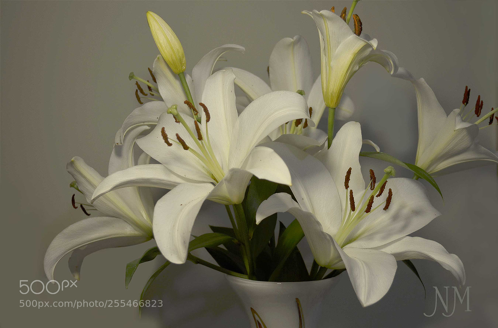 Nikon D5100 sample photo. White lilies-4 photography