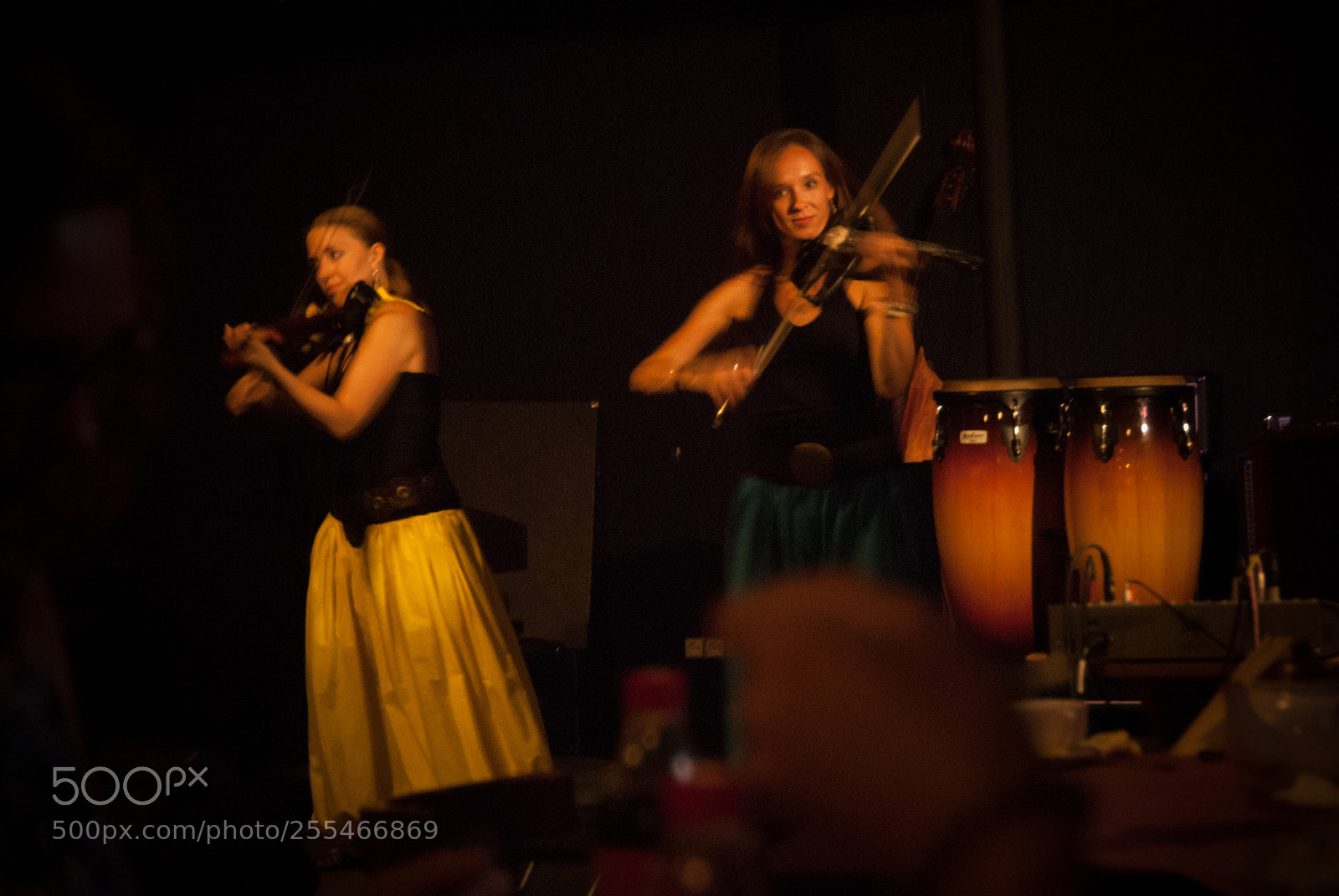 Nikon D200 sample photo. Violinists photography