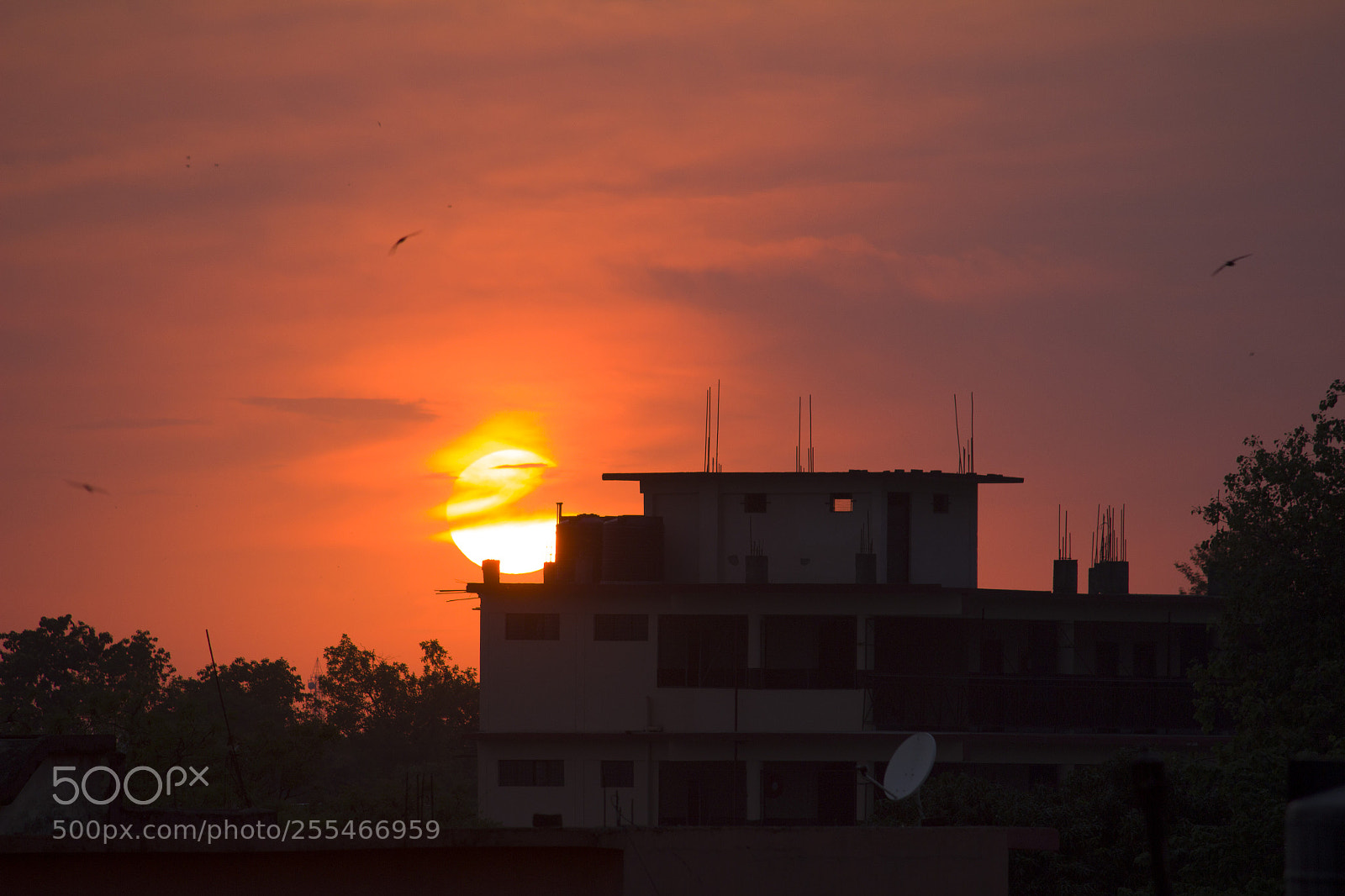 Canon EOS 600D (Rebel EOS T3i / EOS Kiss X5) sample photo. Sunset in dehradoon photography