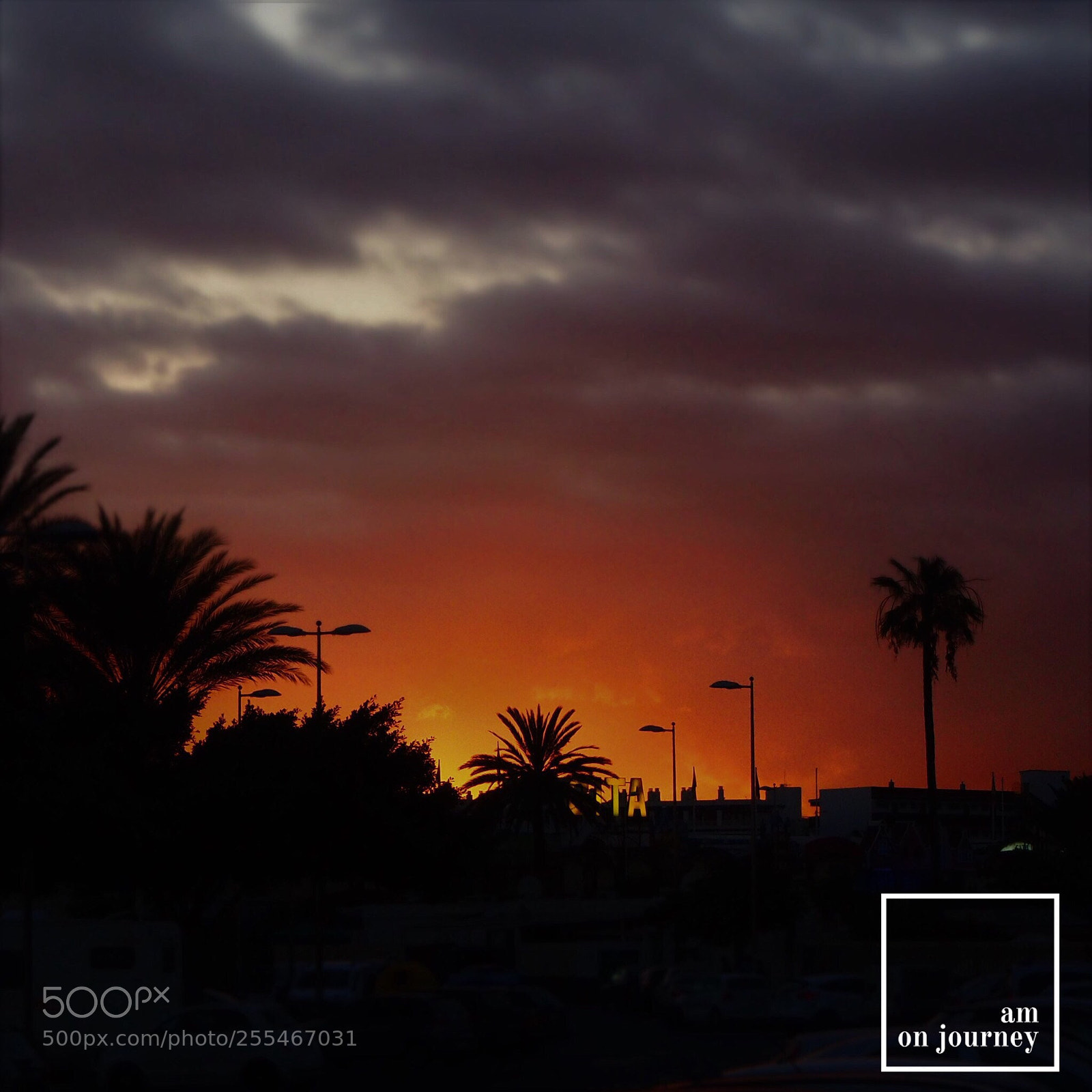 Olympus OM-D E-M10 sample photo. Fiery sunset photography