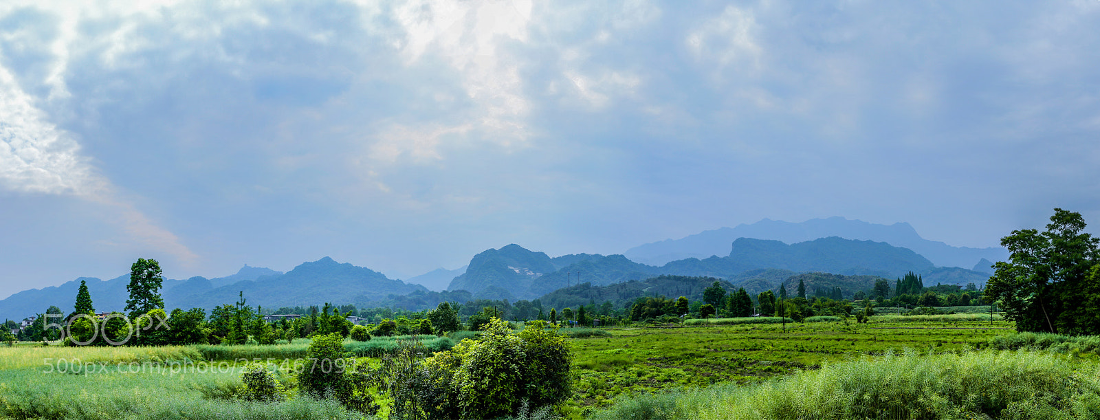 Canon EOS 6D sample photo. Untitled photography