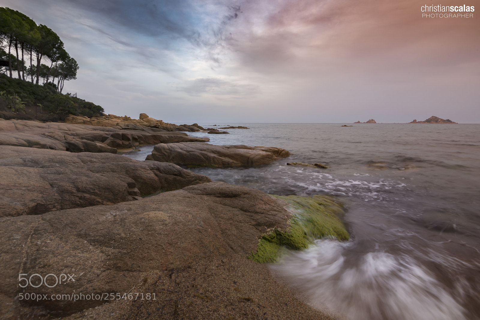 Nikon D600 sample photo. Nature colors photography