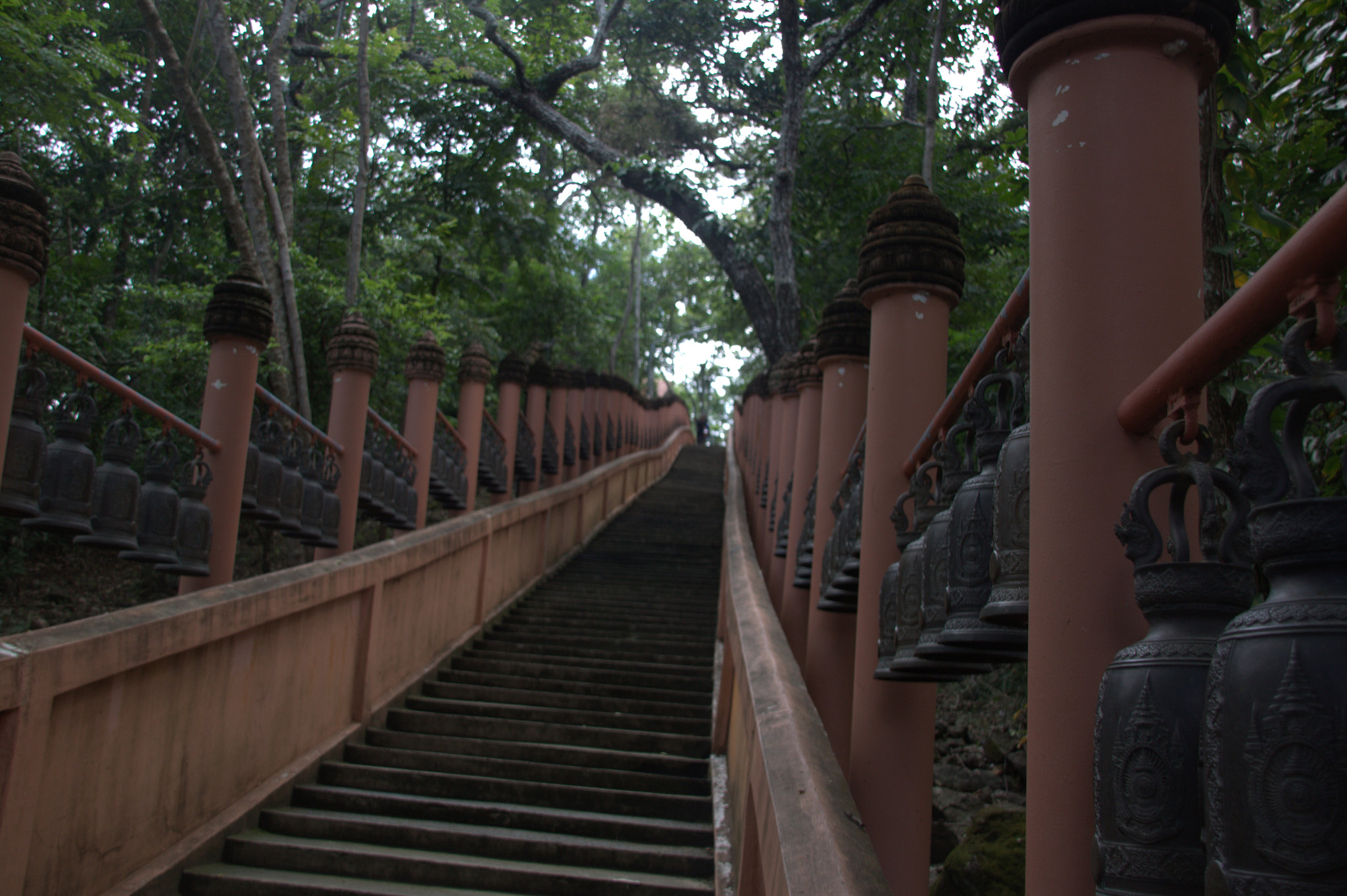 Sigma 18-200mm f/3.5-6.3 DC OS sample photo. Img photography