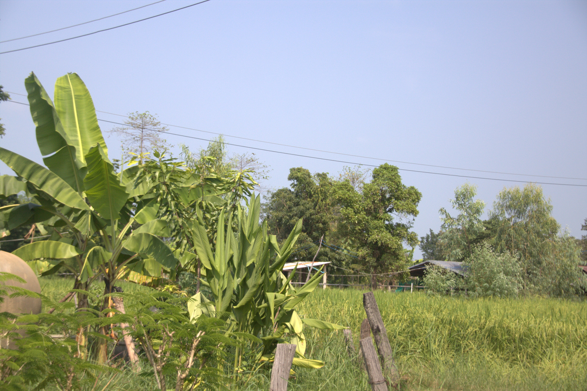Sigma 18-200mm f/3.5-6.3 DC OS sample photo. Img photography