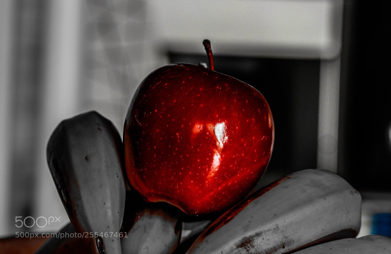 Canon EOS 80D sample photo. Untitled photography