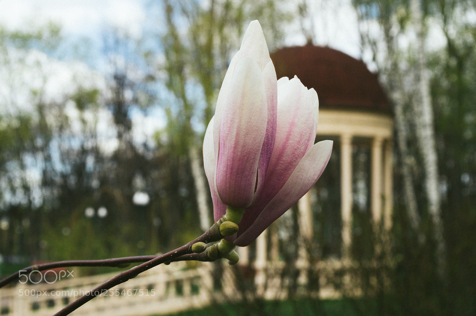 Nikon D3200 sample photo. M a g n photography