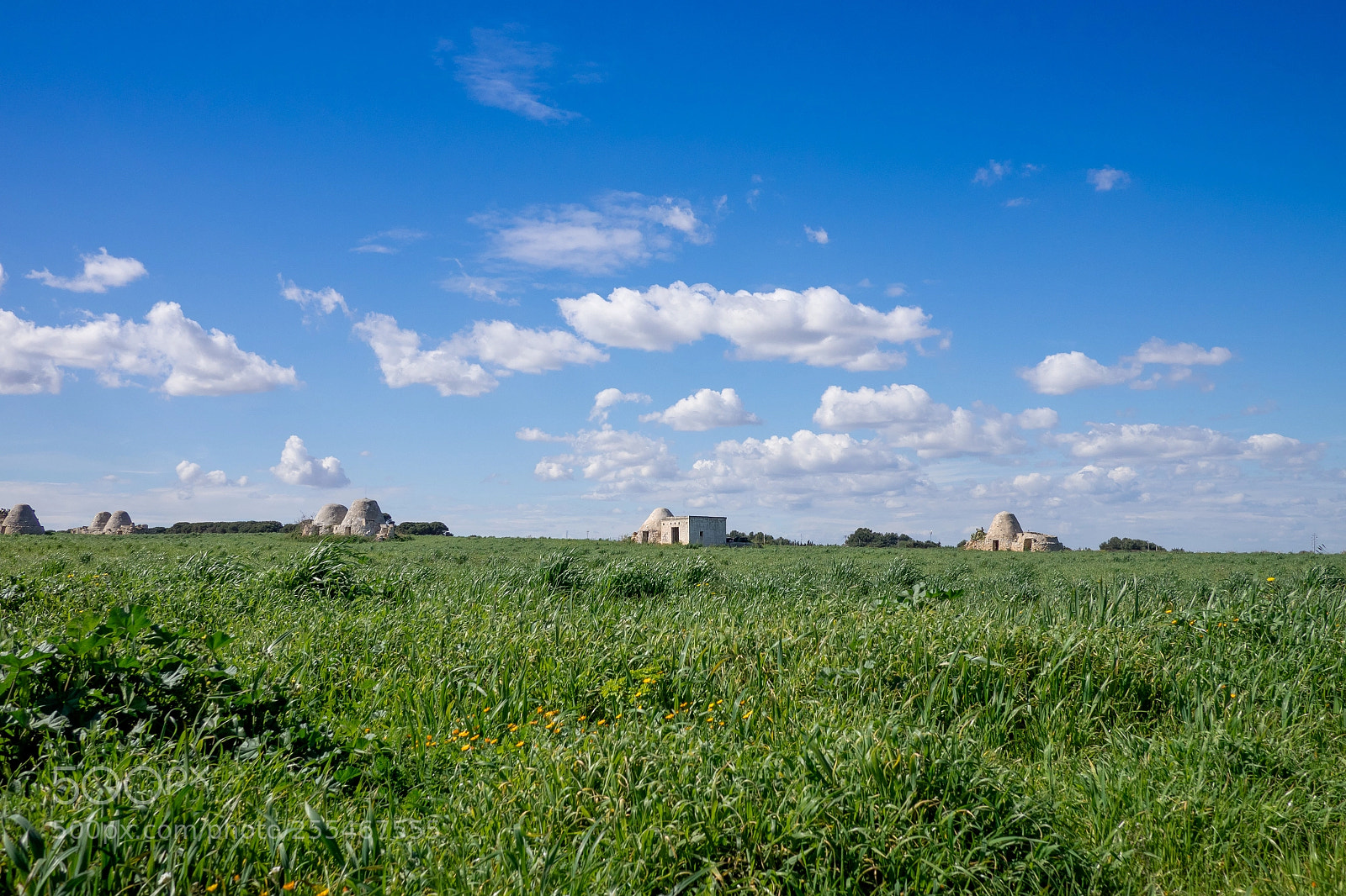 Olympus OM-D E-M1 sample photo. Wild countryside with trullo photography
