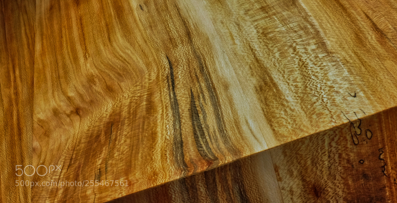 Fujifilm X100S sample photo. Sycamore abstract photography