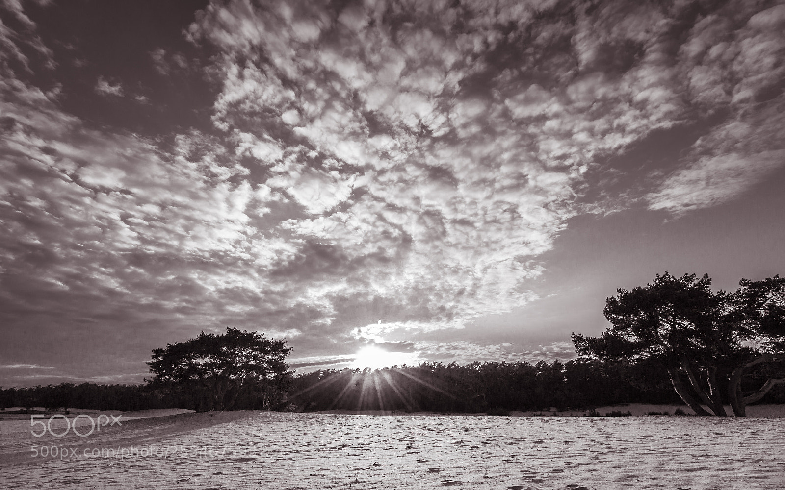 Canon EOS 70D sample photo. Peace of mind photography