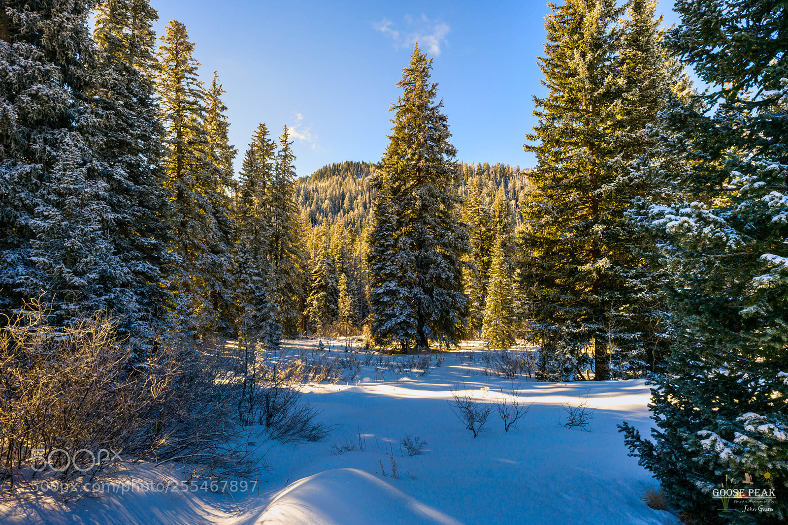 Sony a7R II sample photo. Blue winter day photography