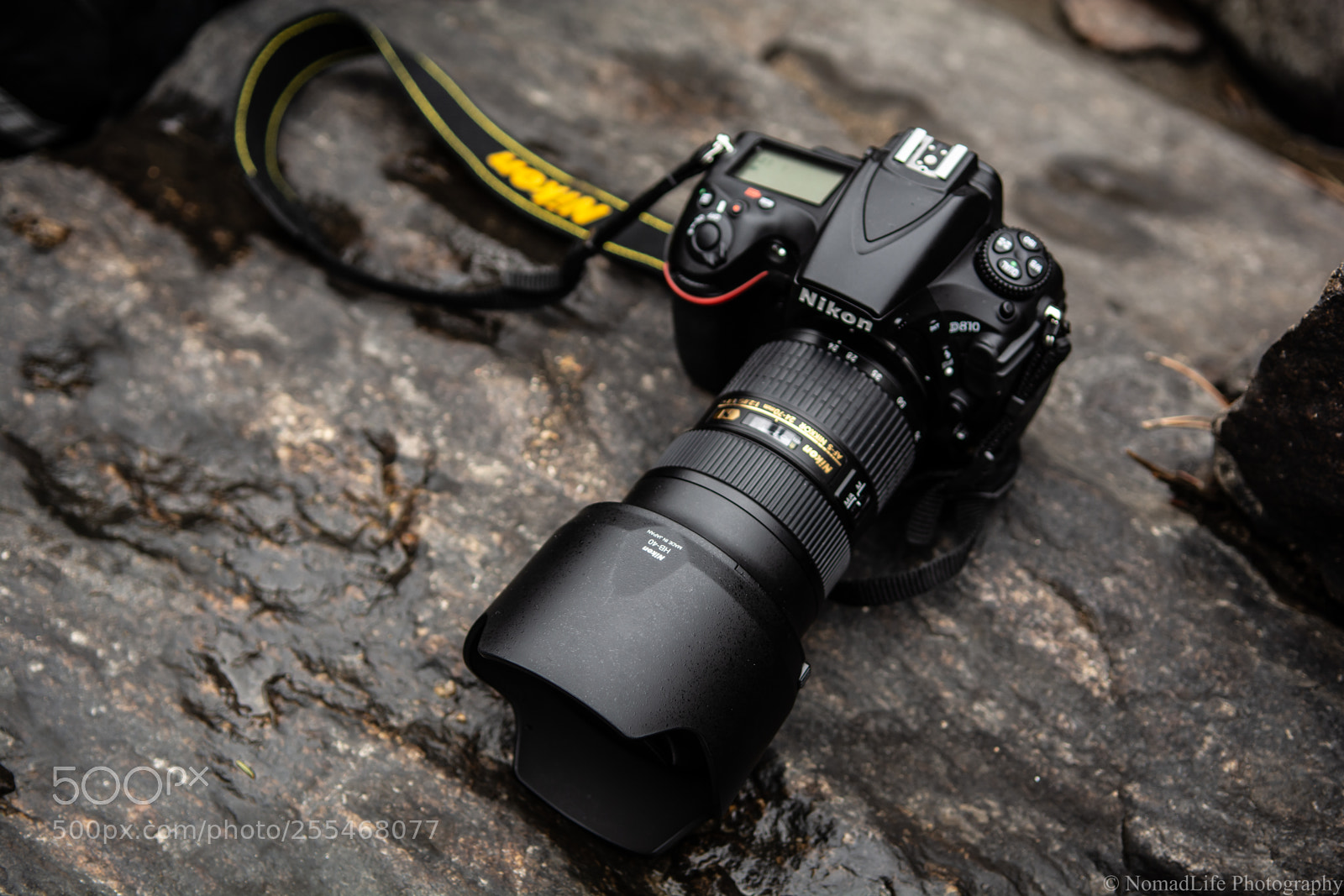 Nikon D7100 sample photo. Camera photography