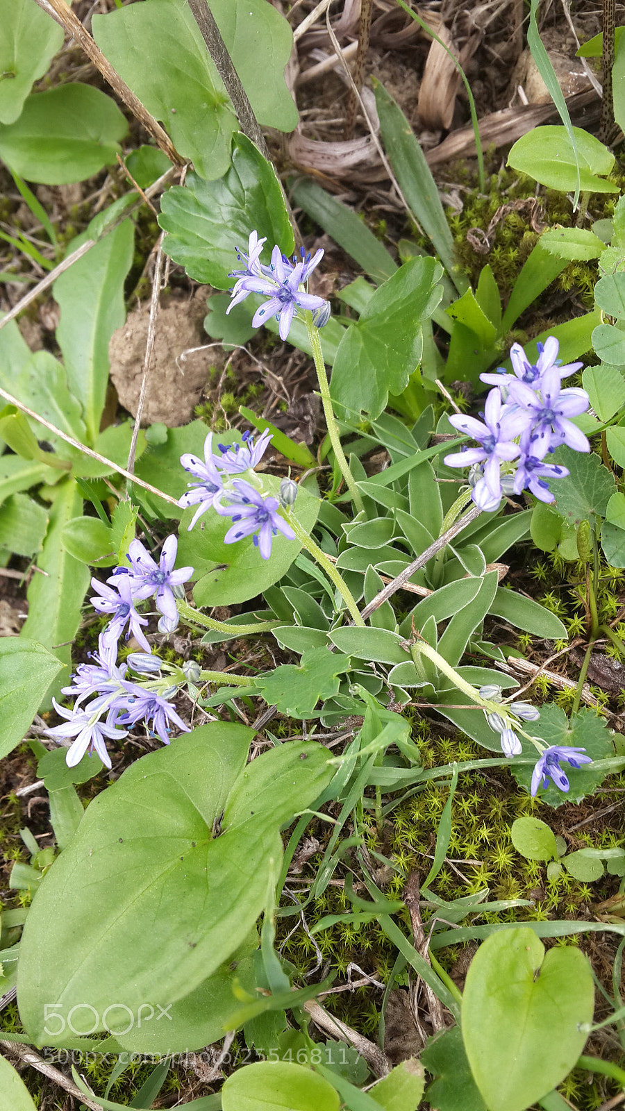 Samsung Galaxy S4 sample photo. 20151114_120513.jpg photography