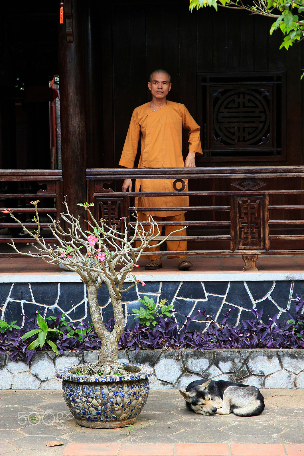 Canon EOS 550D (EOS Rebel T2i / EOS Kiss X4) sample photo. Vietnam marbor mountain monk photography