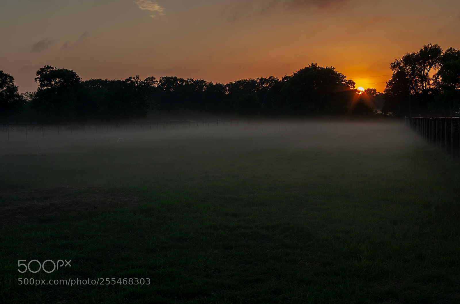 Pentax K-5 IIs sample photo. Evening fog rollin in. photography