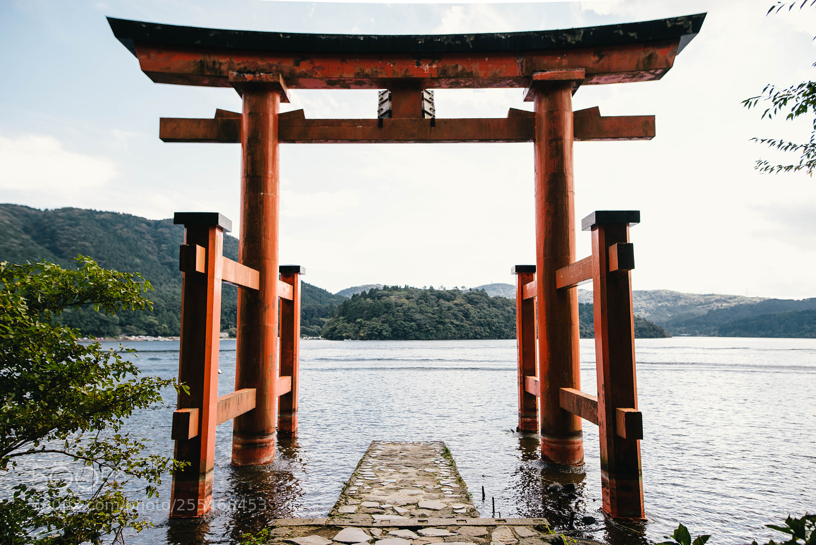 Nikon D610 sample photo. Untitled photography