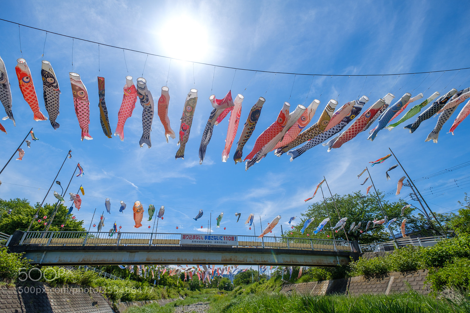 Fujifilm X-Pro2 sample photo. Carp streamer in south photography