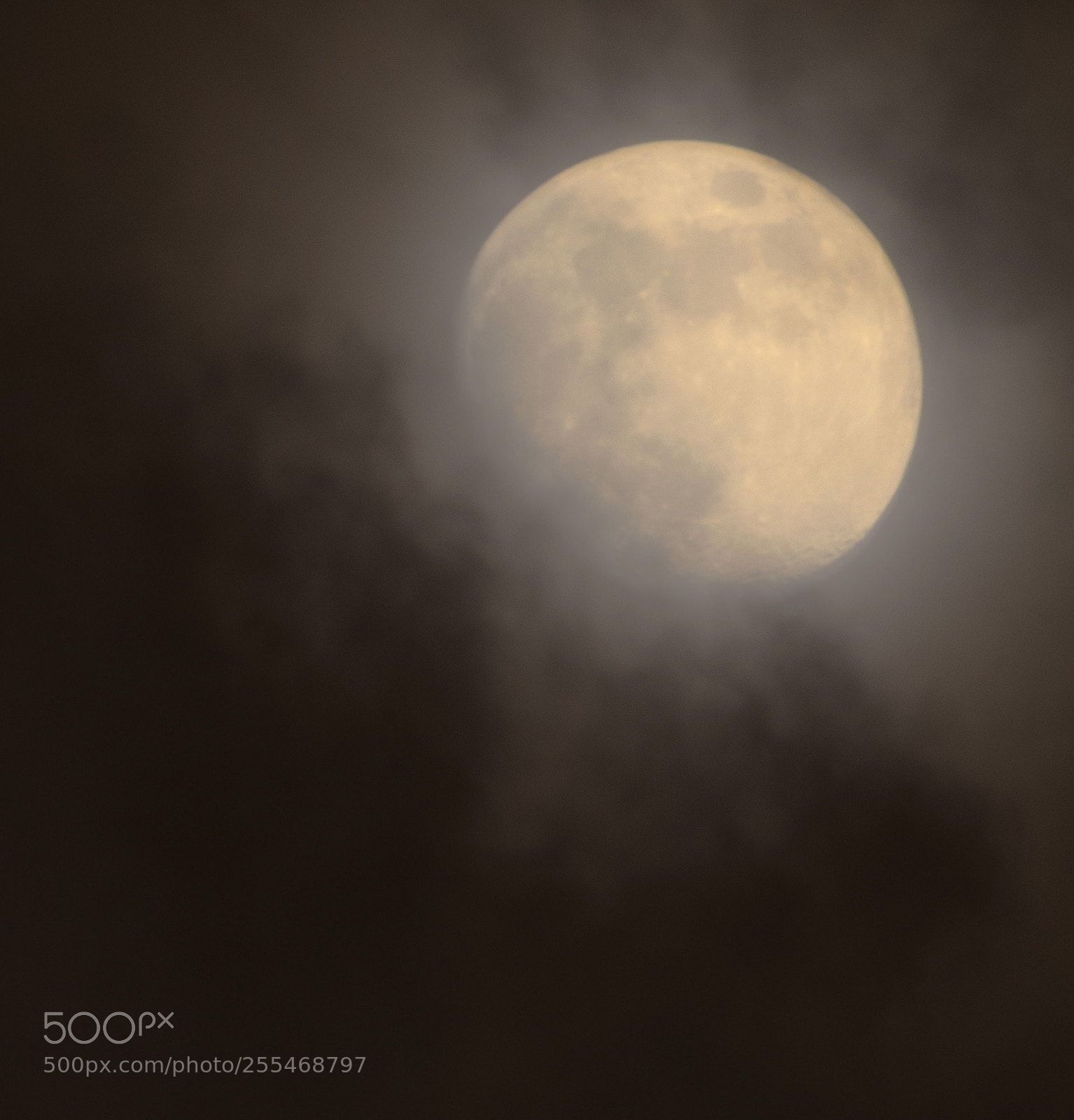 Canon EOS 5D Mark IV sample photo. Luna obscura photography