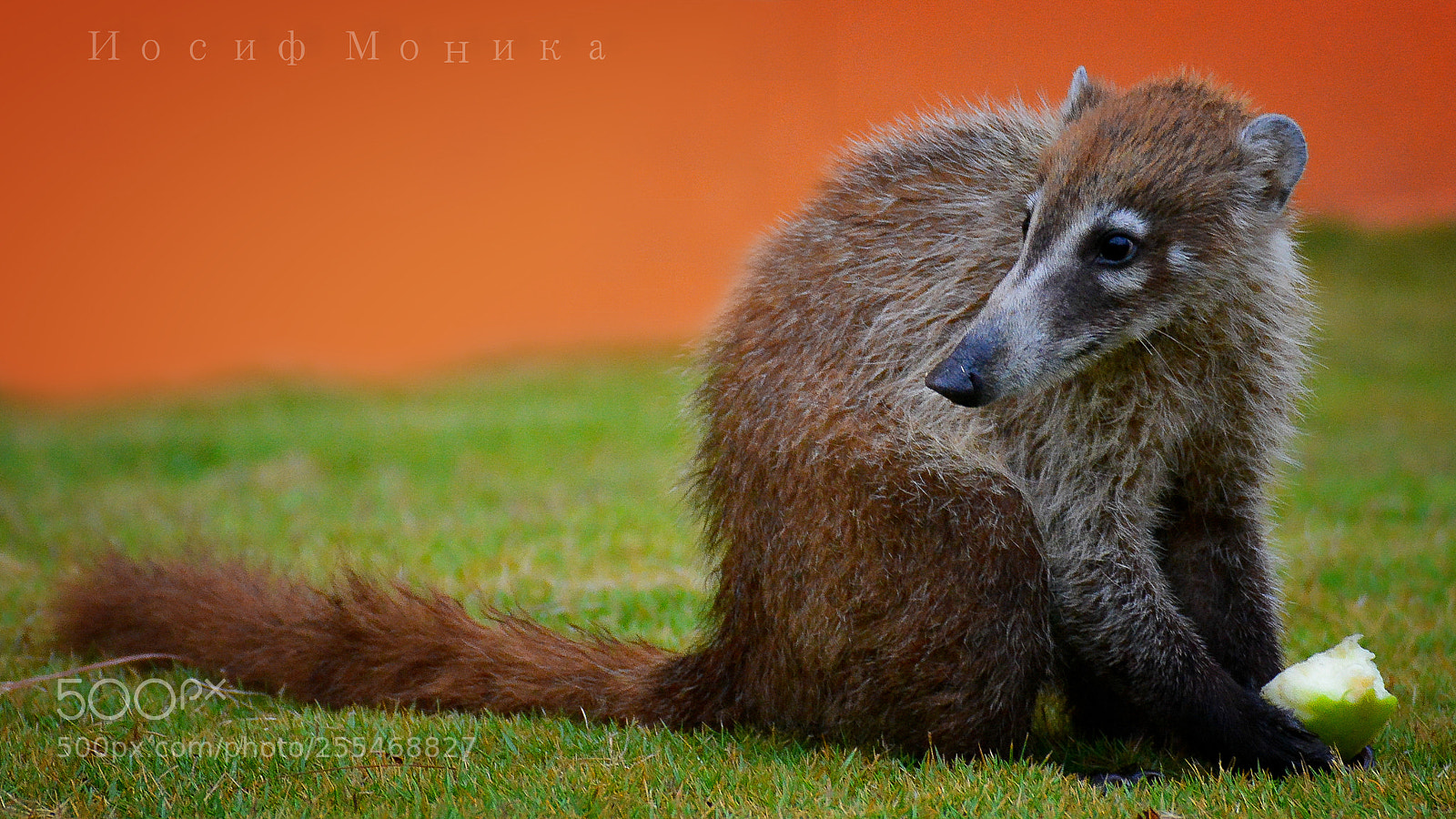 Nikon D5200 sample photo. (z ) photography