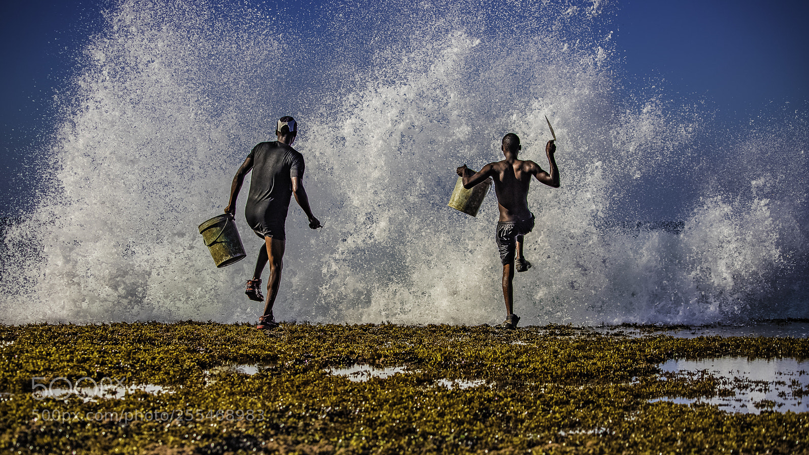 Canon EOS 6D Mark II sample photo. The survival dance photography