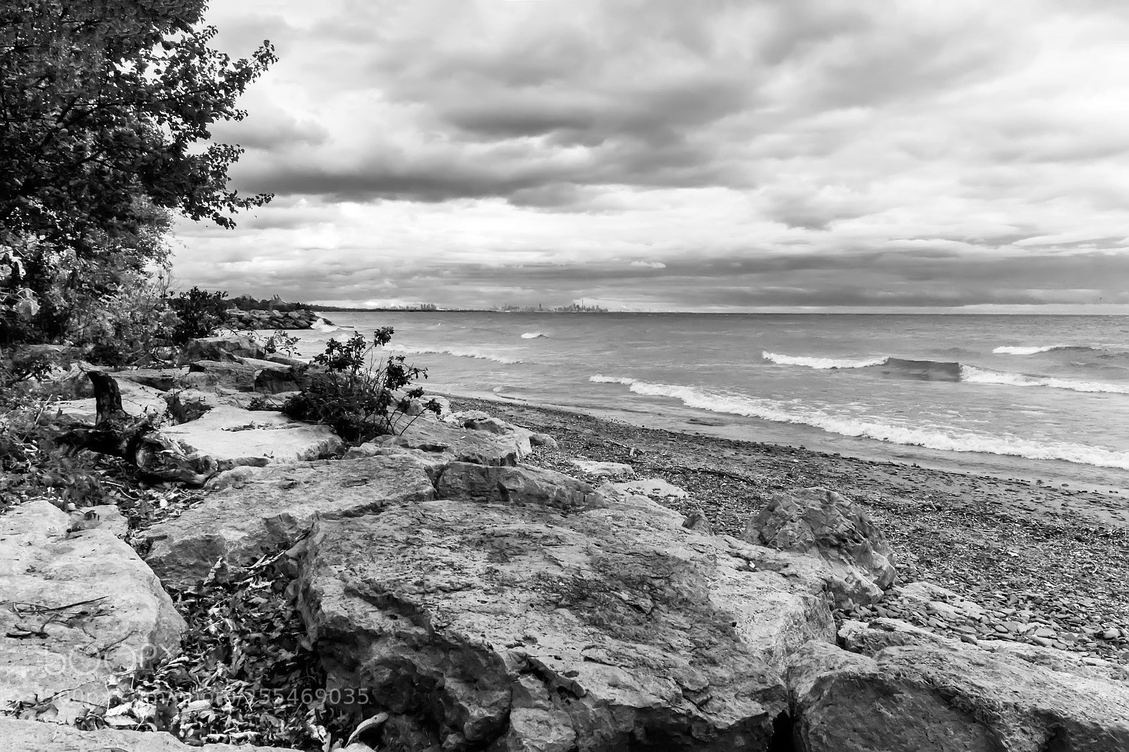 Fujifilm X-E2 sample photo. Jack darling park photography