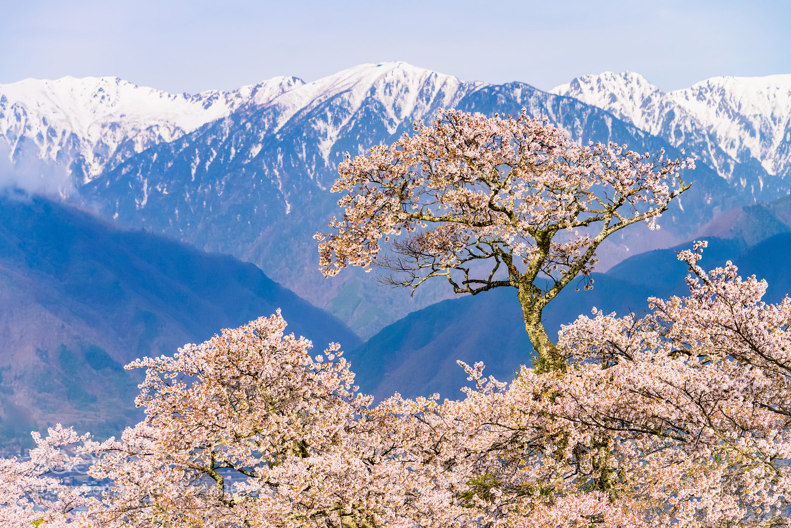 Nikon D800E sample photo. Standing apart photography