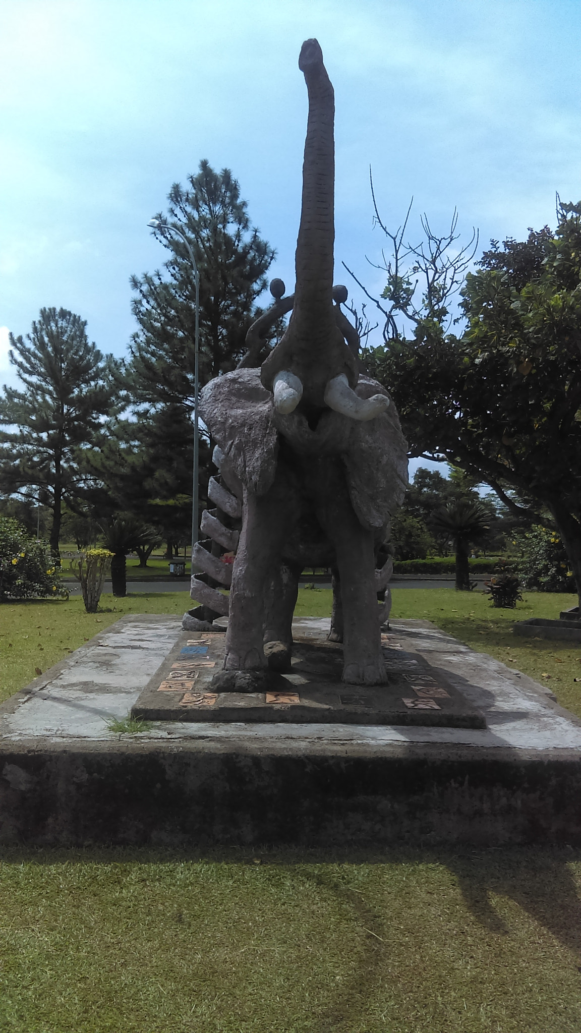 HTC DESRIE D530 sample photo. Elephant photography