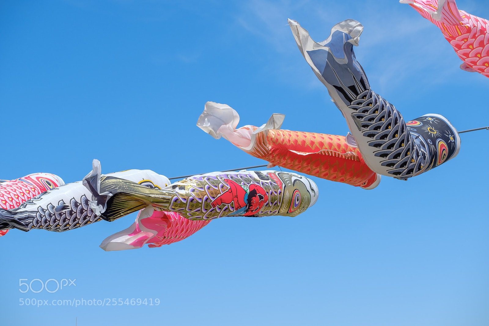 Fujifilm X-T2 sample photo. Carp streamer in south photography