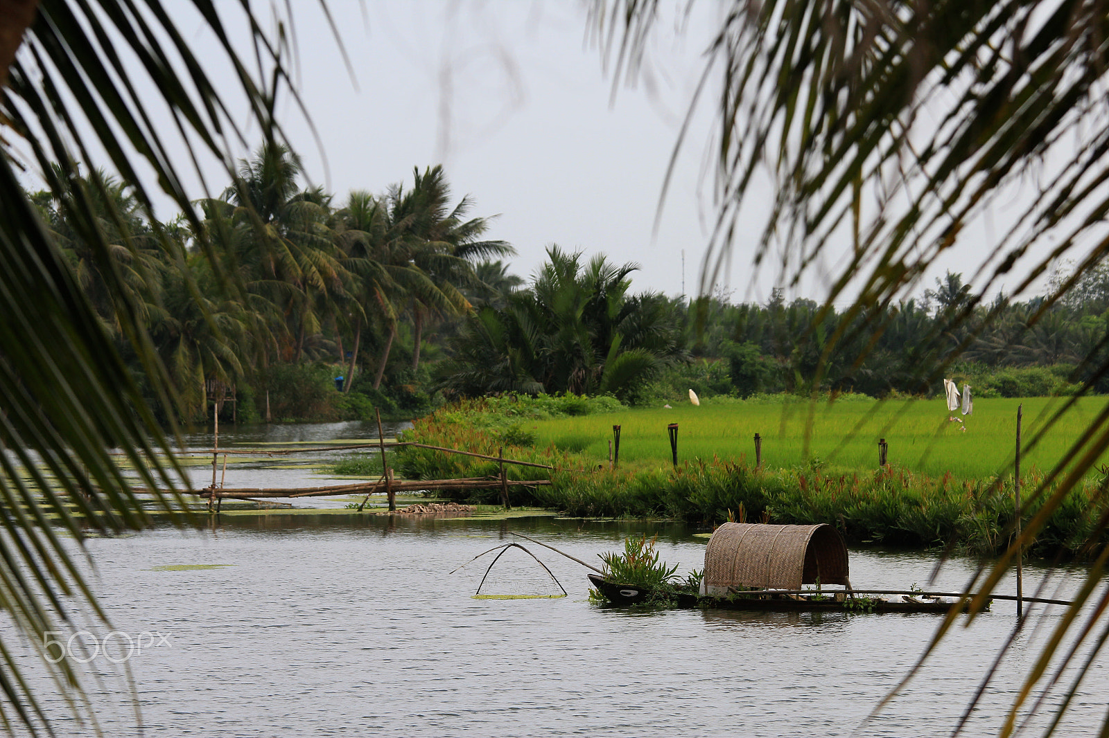 Canon EOS 550D (EOS Rebel T2i / EOS Kiss X4) + Canon EF 70-200mm F4L IS USM sample photo. Vietnam hoi an typical river side photography