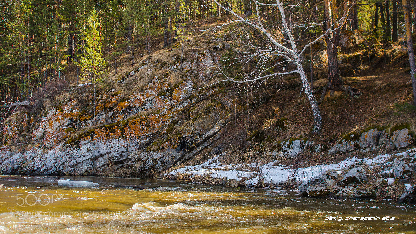 Nikon D7000 sample photo. When winter was gone photography